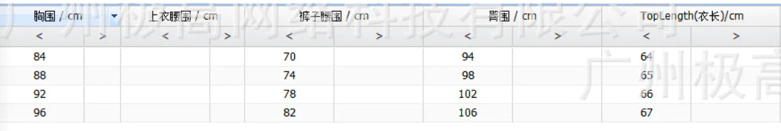 Elegantes Party-Minikleid
