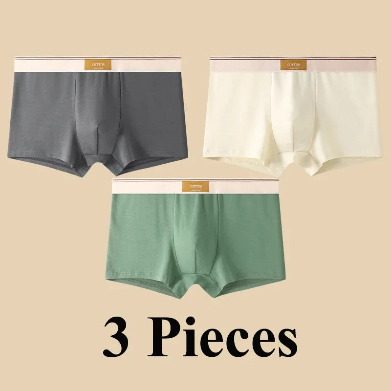 3pcs Shorts Men's Solid Color Underwear Breathable Underpants Sexy Thin Panties U Convex Lingerie  Men Panties L-4XL