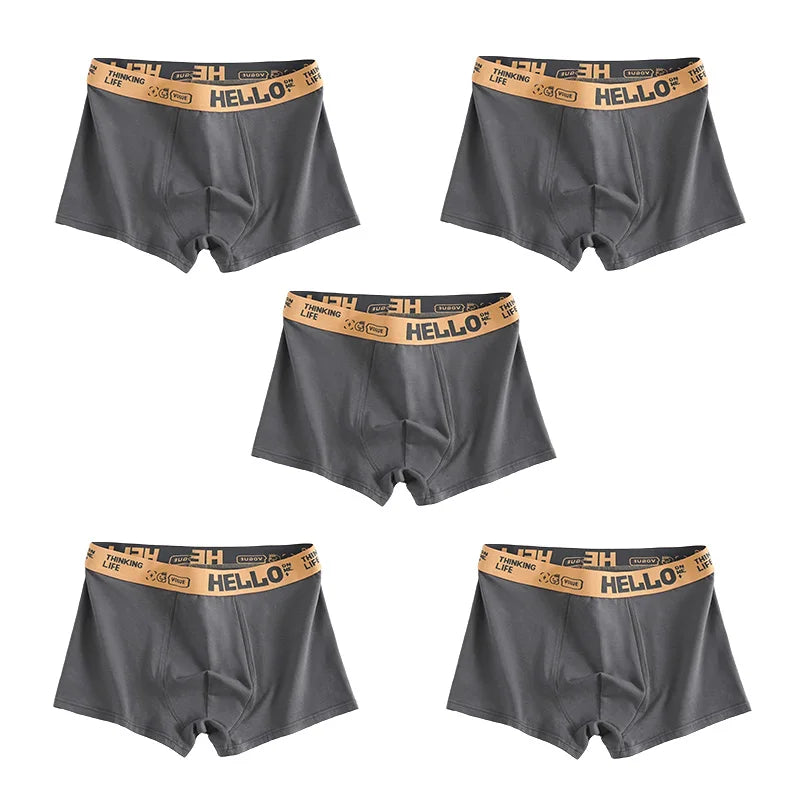 1/5pcs Mens Underwear Male Boxers Sexy Underpant Comfortable Breathable Fashion Style Softness Boys Catton Panties Boxershorts