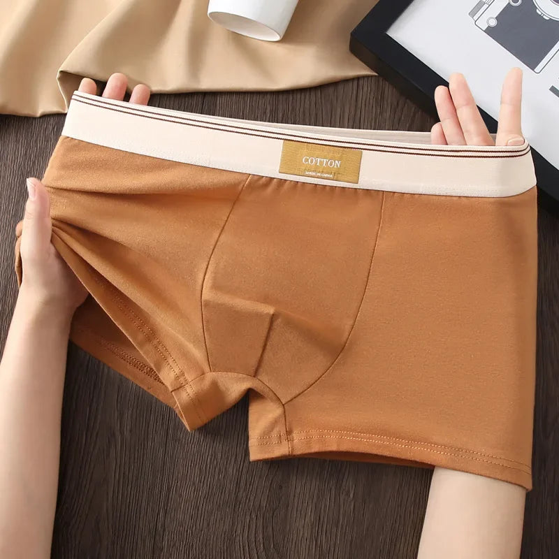 3pcs Shorts Men's Solid Color Underwear Breathable Underpants Sexy Thin Panties U Convex Lingerie  Men Panties L-4XL