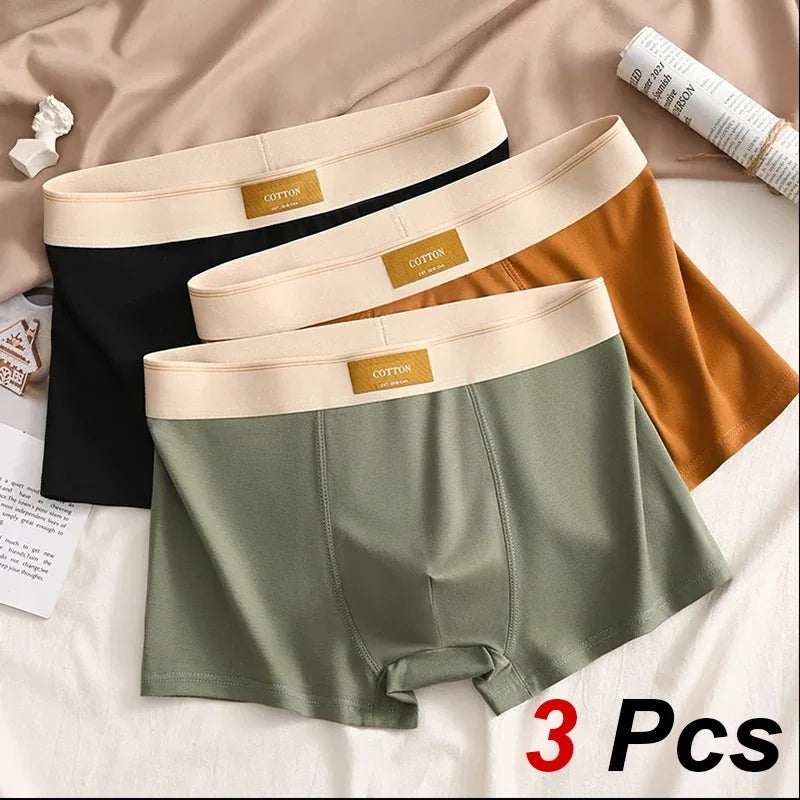 3pcs Shorts Men's Solid Color Underwear Breathable Underpants Sexy Thin Panties U Convex Lingerie  Men Panties L-4XL