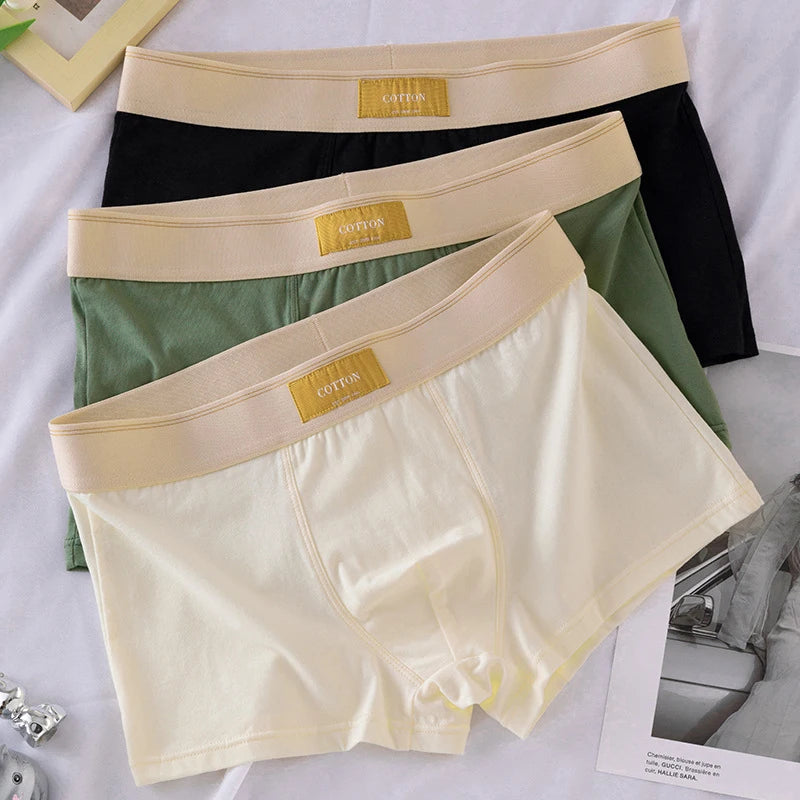 3pcs Shorts Men's Solid Color Underwear Breathable Underpants Sexy Thin Panties U Convex Lingerie  Men Panties L-4XL