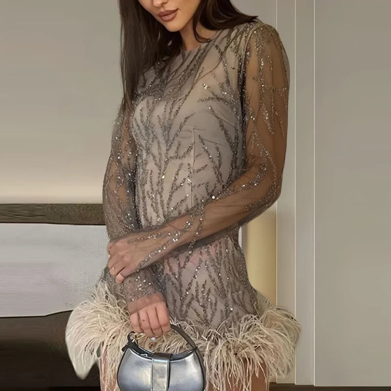 Mode Pailletten Feder Saum Sheer Mesh Dünne Kleider Sexy Runde Kragen Langarm Kleid Elegante Weibliche Party Abend Vestidos