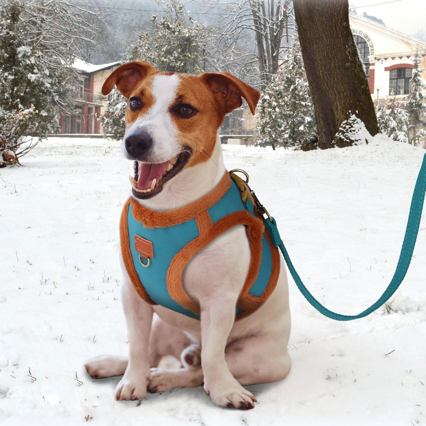 Super Warm Dog Harness and Leash Set Soft Fur Padded Dogs Vest Harness With Pet Walking Lead Chihuahua Puppy Small Medium Dogs