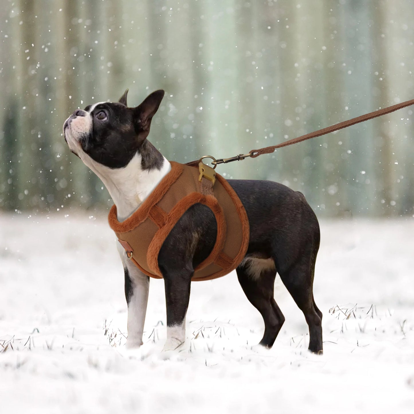 Super Warm Dog Harness and Leash Set Soft Fur Padded Dogs Vest Harness With Pet Walking Lead Chihuahua Puppy Small Medium Dogs