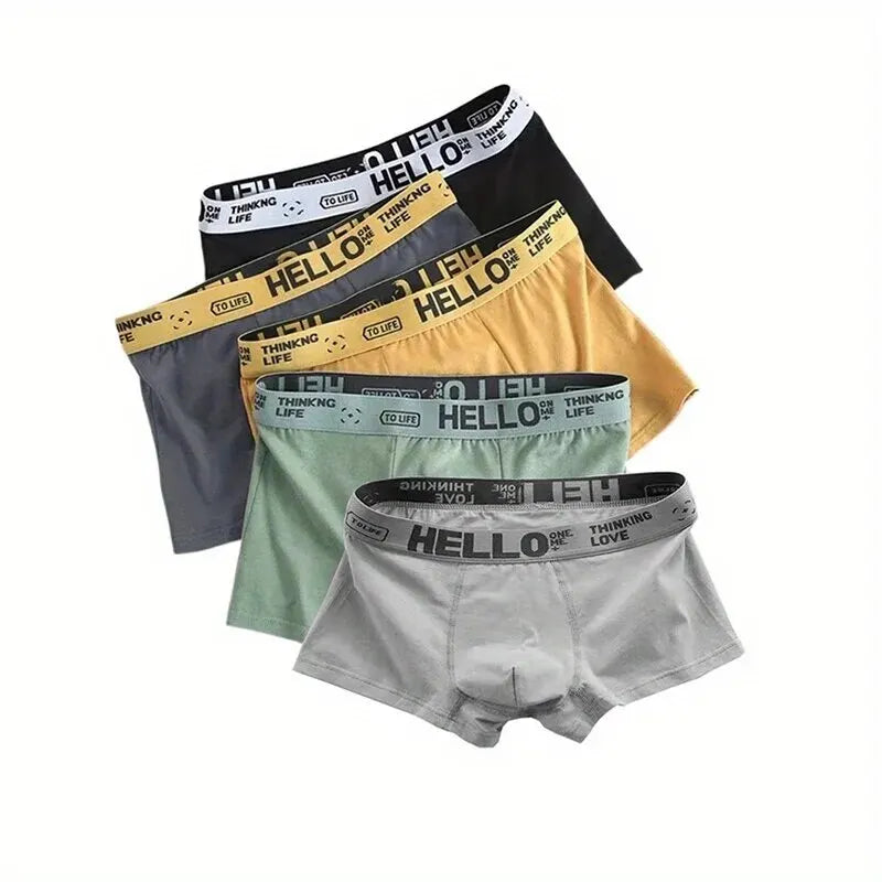 5pcs Men's Underwear, Breathable Comfy Quick Drying Stretchy Boxer Trunks, Sexy Underpants, Men's Trendy Boxer Panties