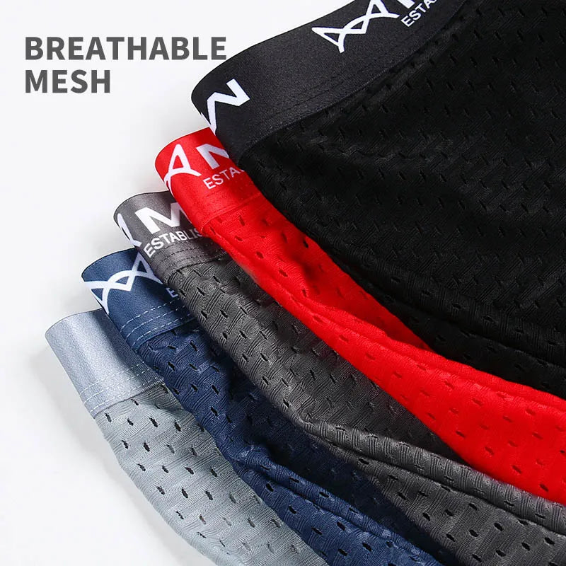 MiiOW 3/4/6Pcs Mesh Breathable Men Boxer Briefs Ice Silk Underwear Graphene Antibacterial Men Panties Underpants Man Boxershorts