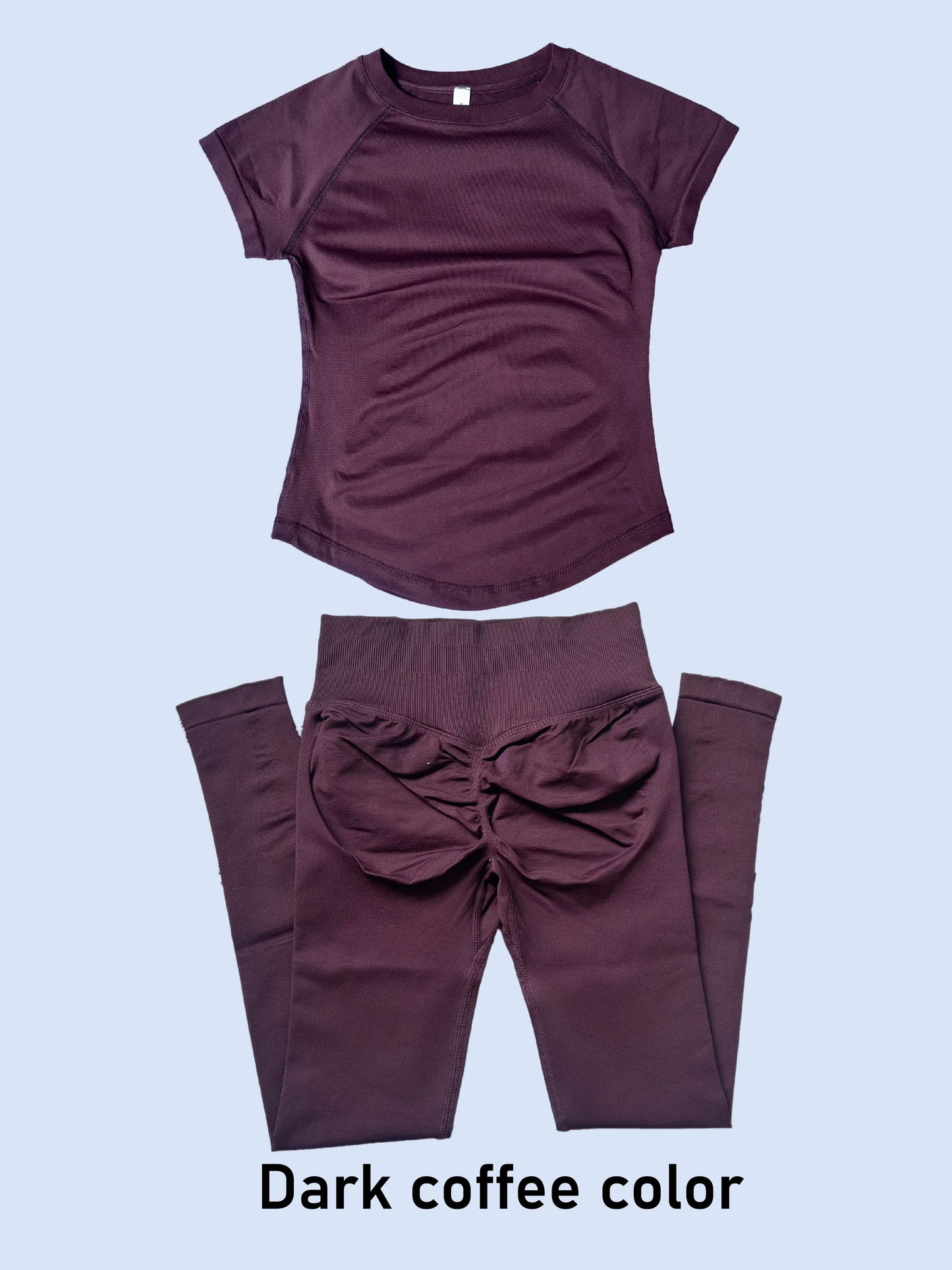 Seamless Women 2 Piece Workout Set Short Sleeve Tummy Control Top High Waist Scrunch Butt Lifting Leggings Yoga Gym Sport Outfit